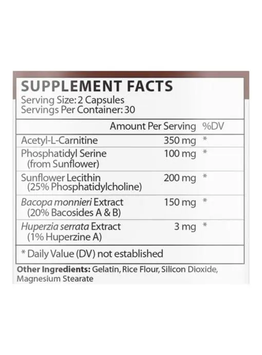 Brain & Memory - Image 3