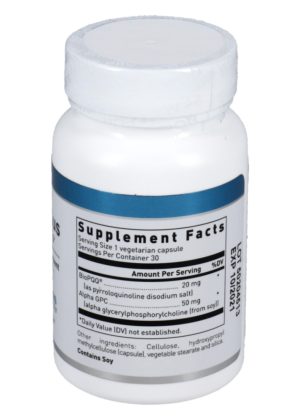 Alternative view of PQQ Plus