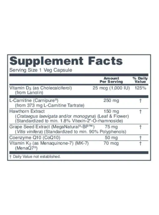 Clinical Cardio-6 - Image 3