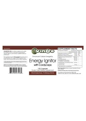 Alternative view of Energy Ignitor