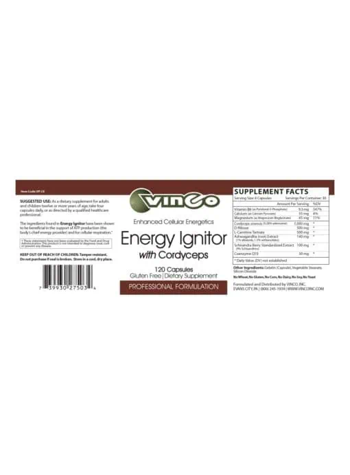 Energy Ignitor - Image 2