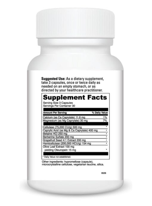 Candid-Away - Image 3