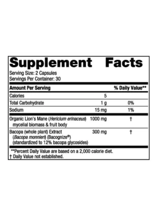 Cognition Mushroom Complex - Image 3