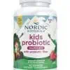 Nordic Naturals Pro Kids Nordic Flora(TM) Probiotic Gummies -- probiotic gummies, kids health.