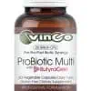 Vinco ProBiotic Multi 20 Billion -- probiotic supplement, digestive health.