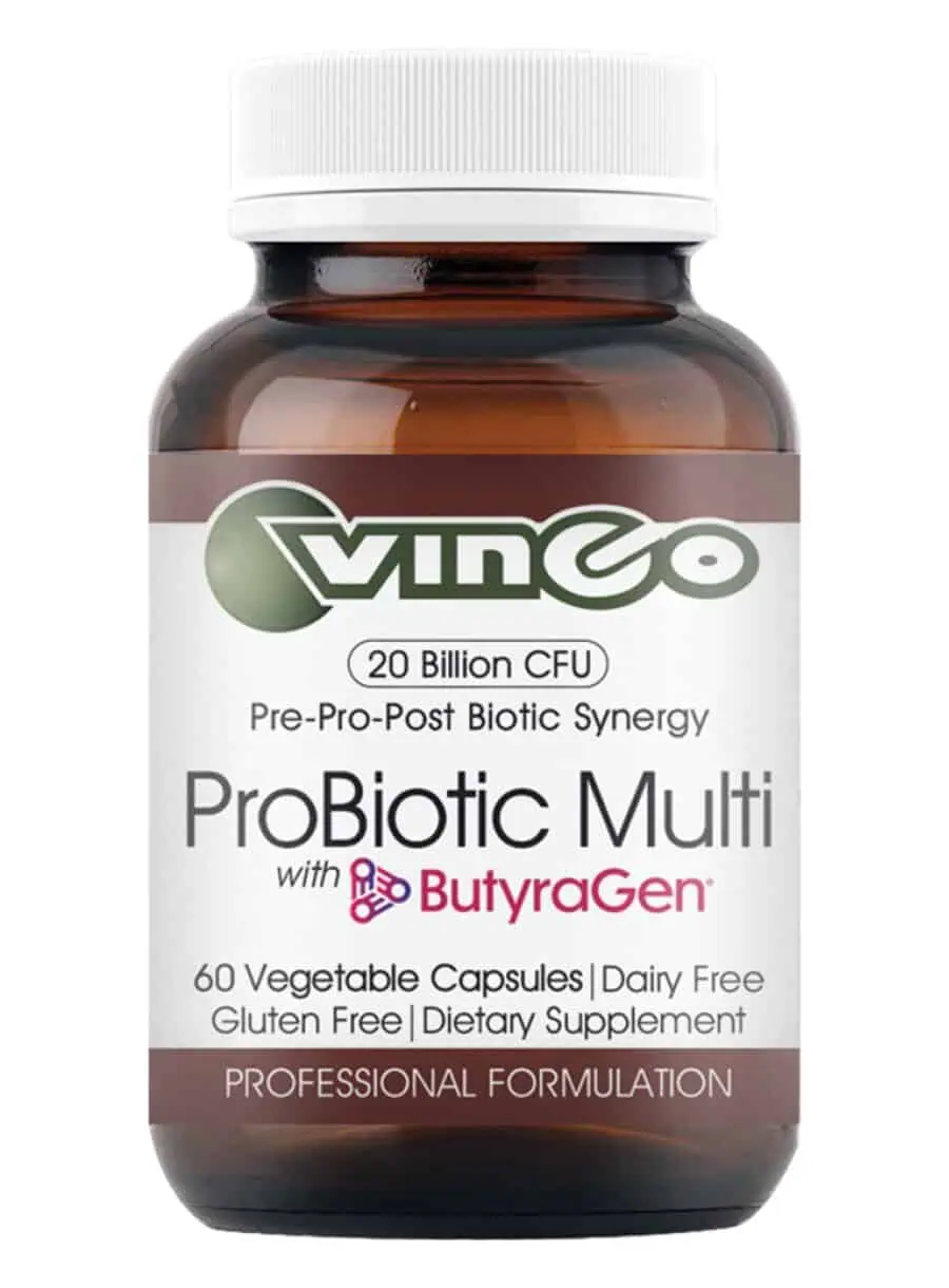 Vinco ProBiotic Multi 20 Billion -- probiotic supplement, digestive health.