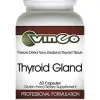 Vinco Thyroid Gland -- thyroid support, freeze-dried bovine