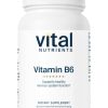 Vital Nutrients Vitamin B6 100mg -- vitamin B6, metabolism support.